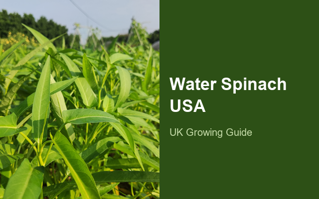 How to Grow Water Spinach USA | Planting & Establishment guide thumbnail