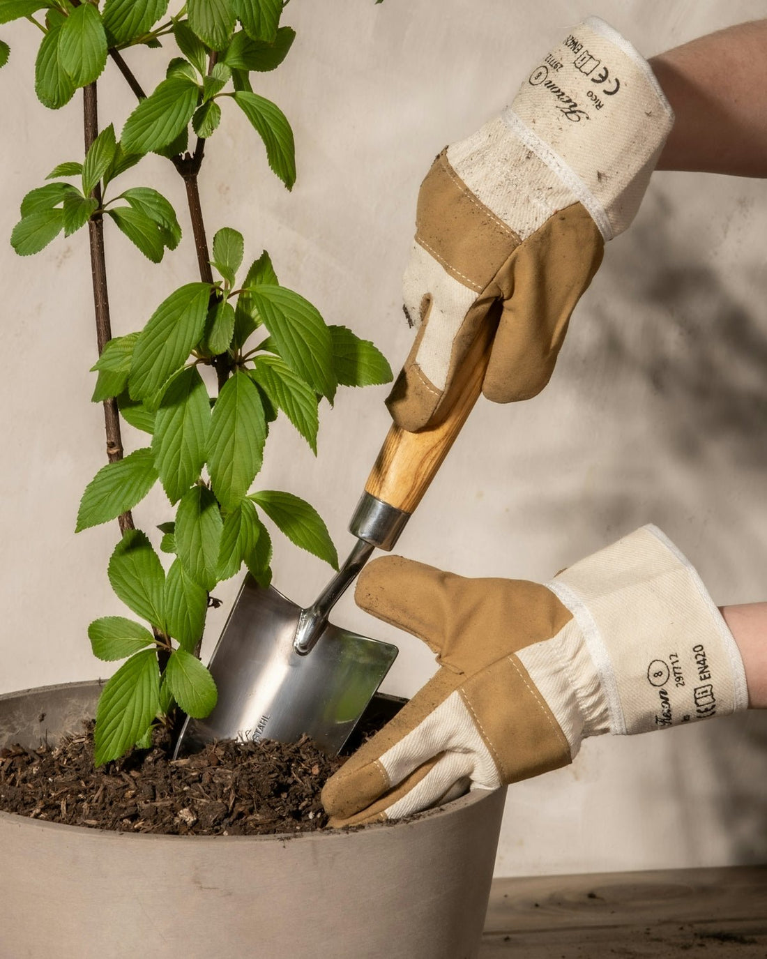 Explore the World of Modern Gardening Gadgets: Unboxing and Reviewing the Best Stainless Steel Gardening Tools for Your Home Garden - soilcommander