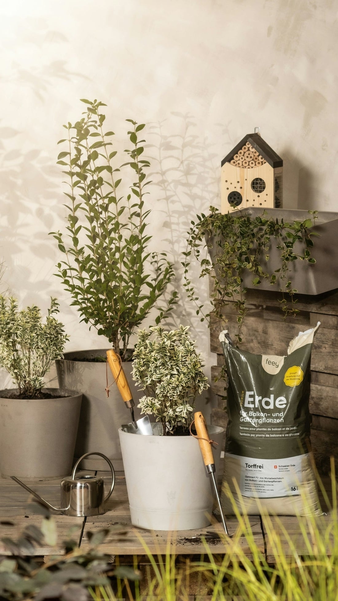 Exploring Modern Gardening Gadgets: Is the Solar Rattan Garden Lantern the Ultimate Beginner Gardening Tool for Your USA Home Garden? - SoilCommander