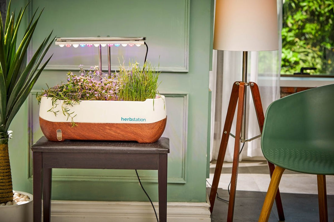 Illuminate Your Garden with Style: Exploring the Best Modern Gardening Gadgets Like Solar LED Resin Amazon Owl Hug Ball for Home and Backyard Gardens USA - SoilCommander