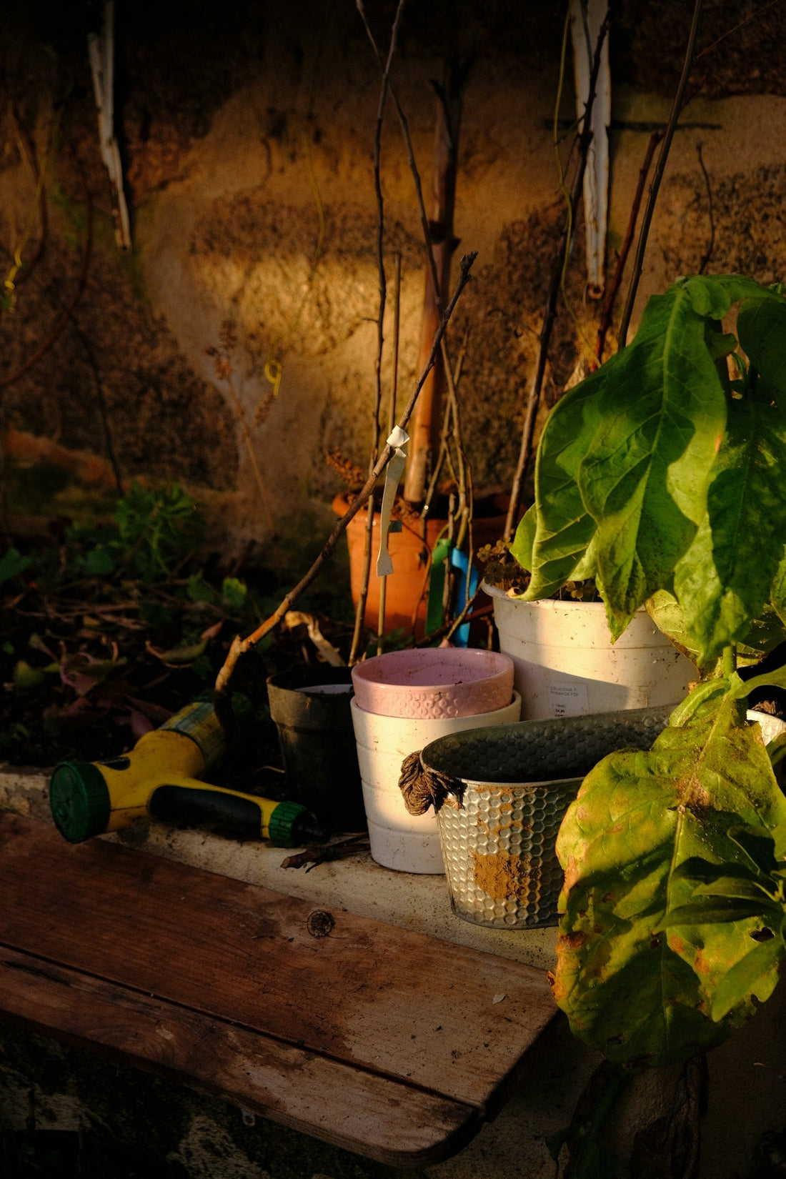 Master Backyard Survival Skills with the Multi-Function Outdoor Pliers Tool and Modern Gardening Gadgets for Beginners - soilcommander