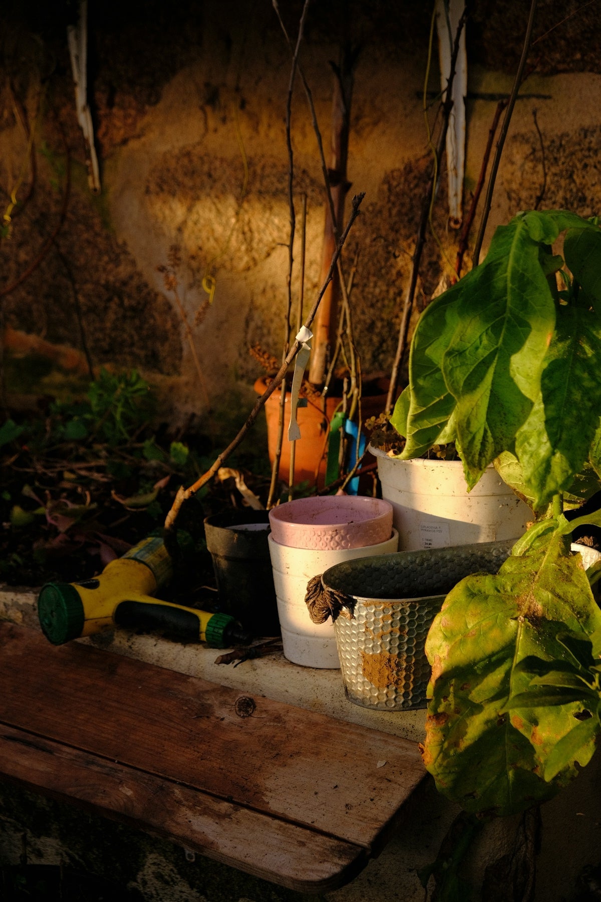 Master Backyard Survival Skills with the Multi-Function Outdoor Pliers Tool and Modern Gardening Gadgets for Beginners - soilcommander