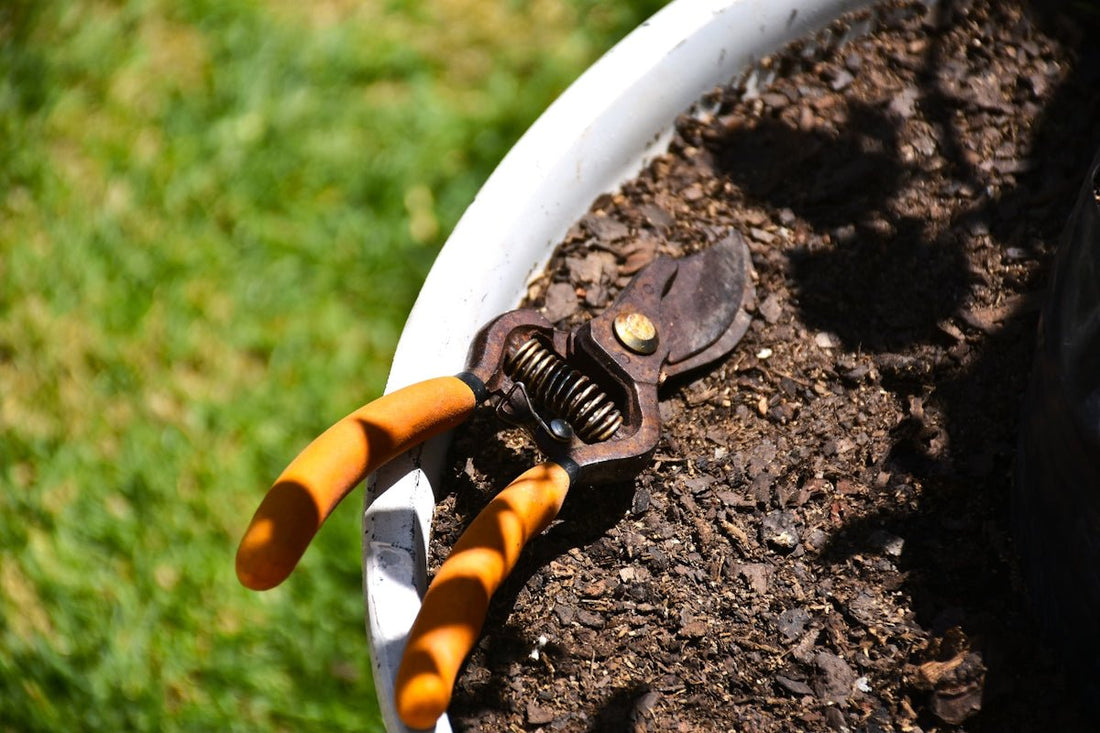 Master Your Green Thumb with Cordless Electric Tree Pruning Shears: An In-Depth Review of Must-Have Gardening Tools for Home Garden and Backyard Adventures - SoilCommander