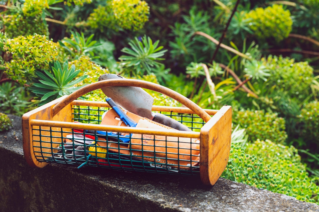 basket of gardening tools