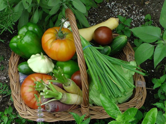 Printable Vegetable Growing Guide Details UK - SoilCommander