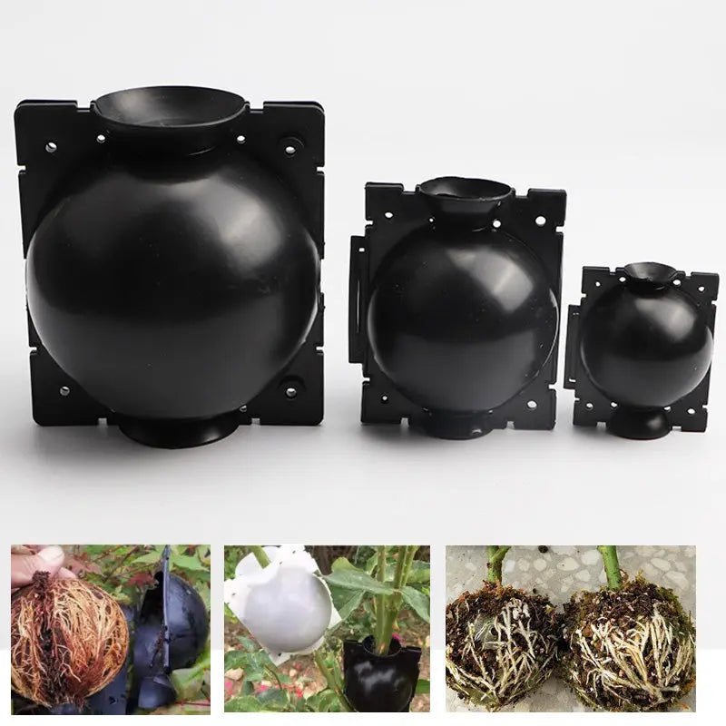 Propagate Plants Like a Pro Using the Plant High Pressure Propagation Box: A Must-Have Modern Gardening Gadget for Beginners and Experts in the USA - soilcommander