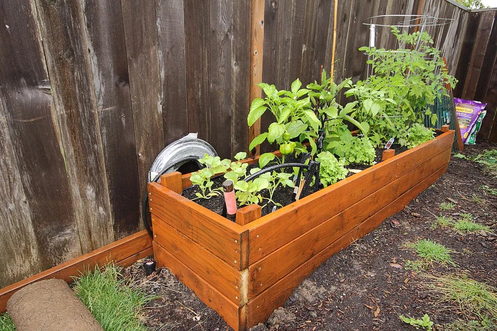 Raised wooden vegetable garden bed with peppers and tomatoes