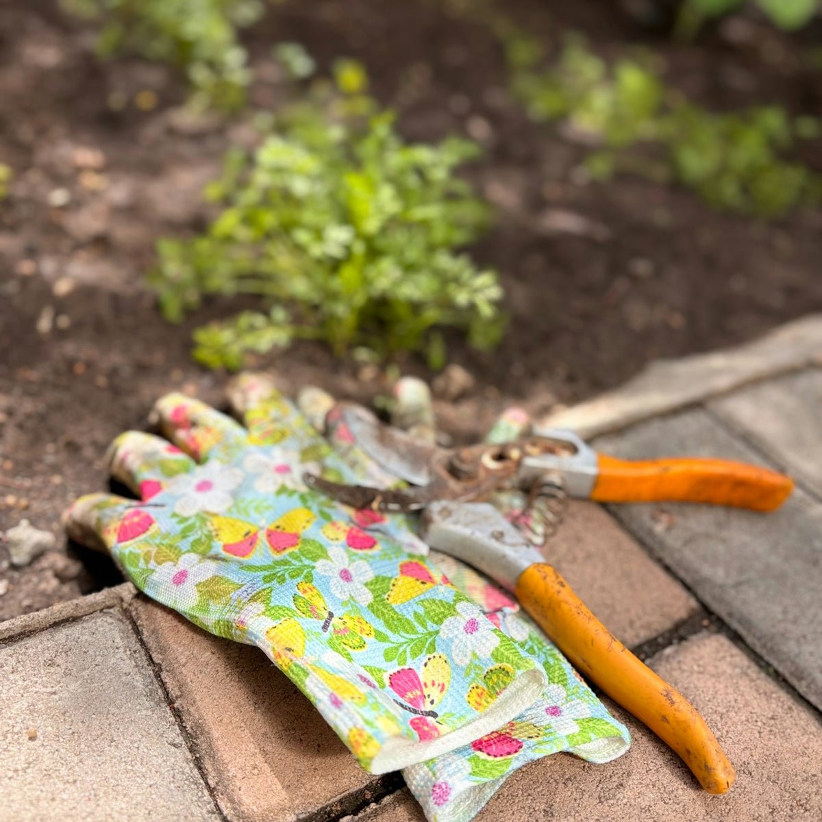 The Modern Gardening Gadgets You Need: Unpacking the Space-Saving Efficient Pipe and Hose Water Gun Organizer Rack for Your USA Home Garden - soilcommander