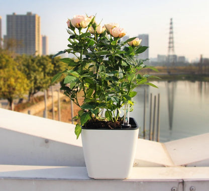 Smart absorbent plastic flower pot