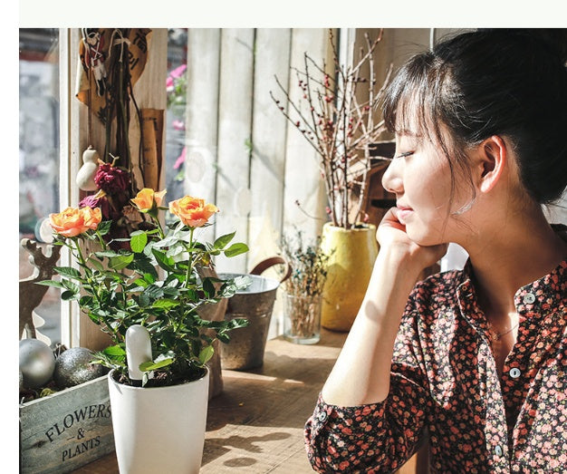 Smart Garden Soil Moisture, pH & Water Tester