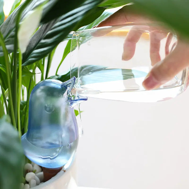 Hand pouring water into blue bird-shaped self-watering device in indoor plant pot