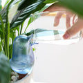Hand pouring water into blue bird-shaped self-watering device in indoor plant pot