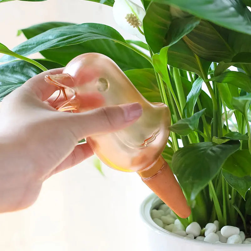 Hand placing bird-shaped plant watering device in potted indoor plant with green leaves