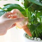 Hand placing bird-shaped plant watering device in potted indoor plant with green leaves