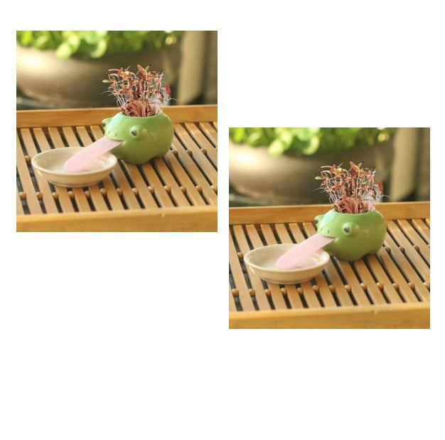 Compact Lightweight Tiny Plant Pot for mini plants, grass, succulents, or herbs