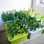 24 - Cell Hydroponic Garden Planter Growing Kit - soilcommander