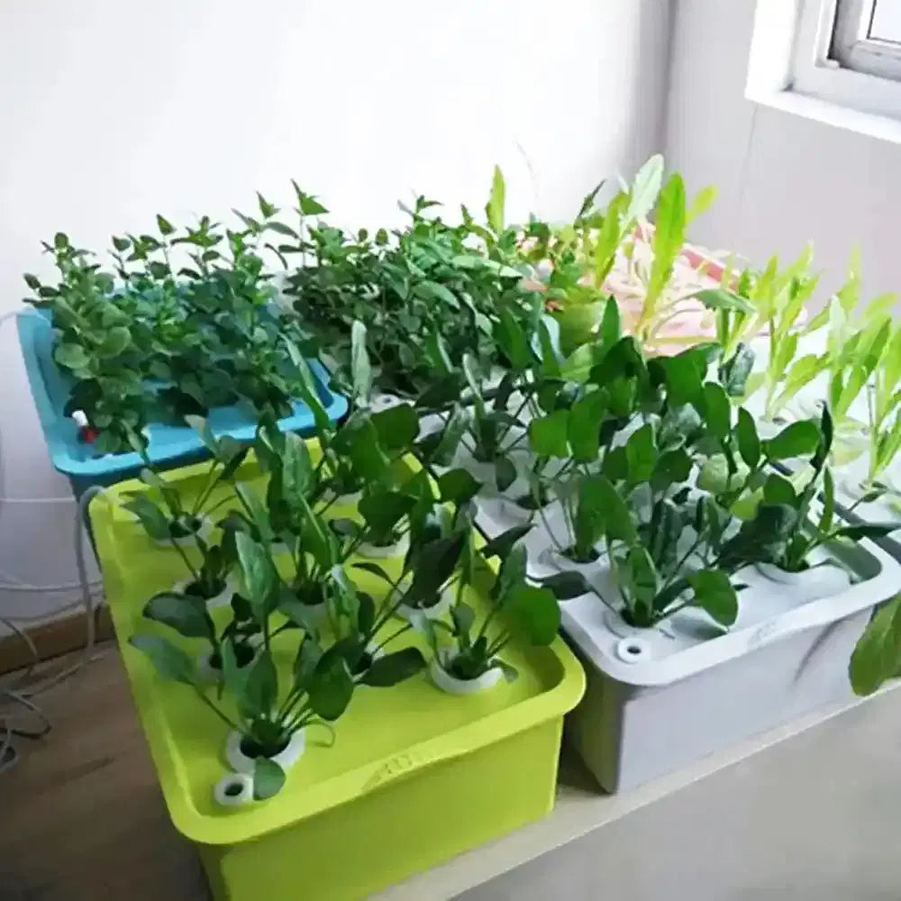 24 - Cell Hydroponic Garden Planter Growing Kit - soilcommander