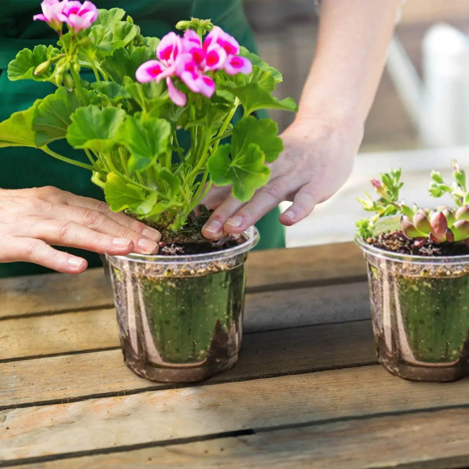 30Pcs Plant Nursery Pots With Dome & Drainage Holes - soilcommander