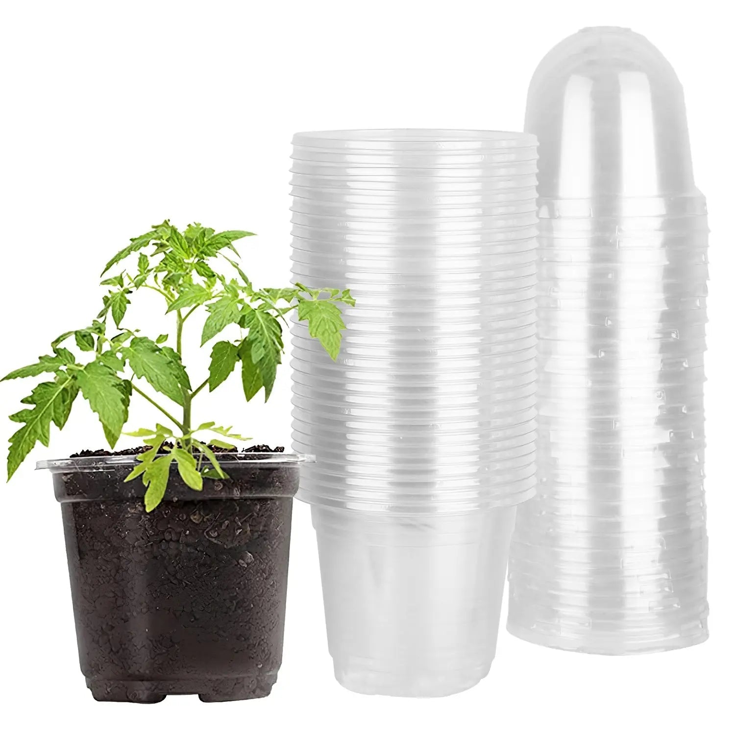 30Pcs Plant Nursery Pots With Dome & Drainage Holes - soilcommander