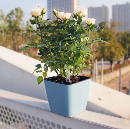 Smart absorbent plastic flower pot