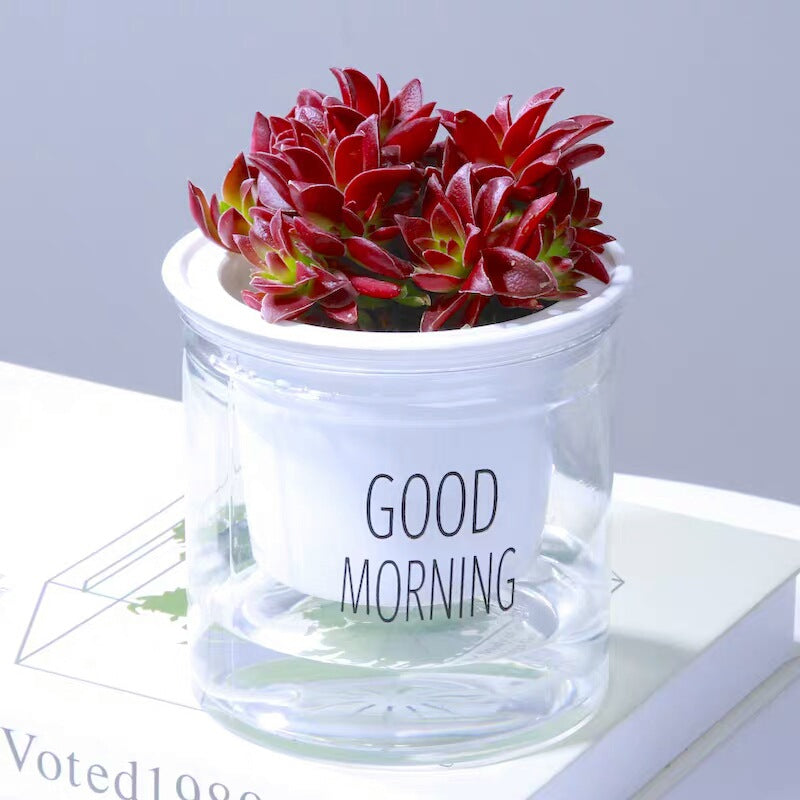 Home Decor Self-Watering Hydroponic Double Tier Visual Water Level Flowerpot