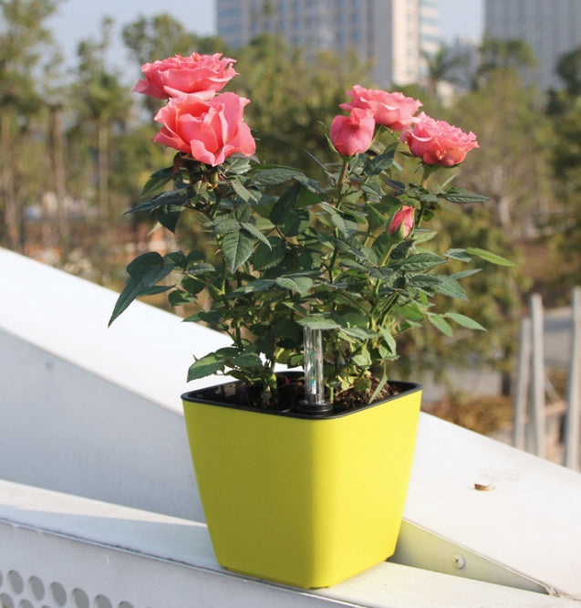 Automatic Absorbent Flower Pot for Hassle-Free Plant Care
