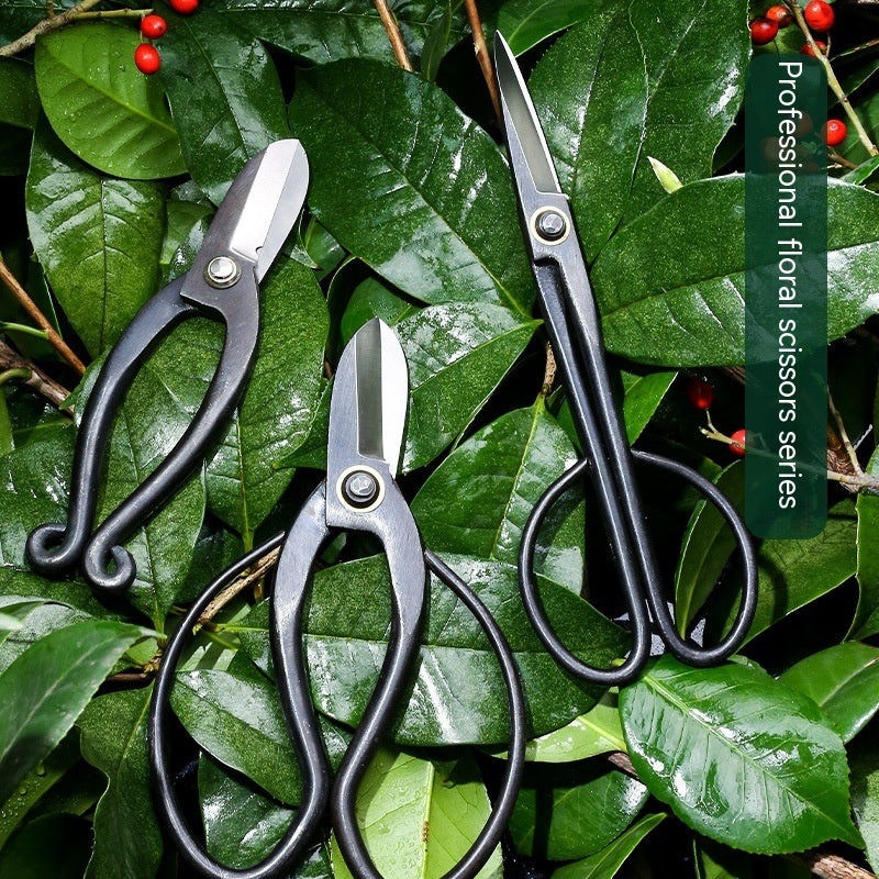 Premium Sharp Garden Scissors Tool With Ergonomic & Non-Slip Handle