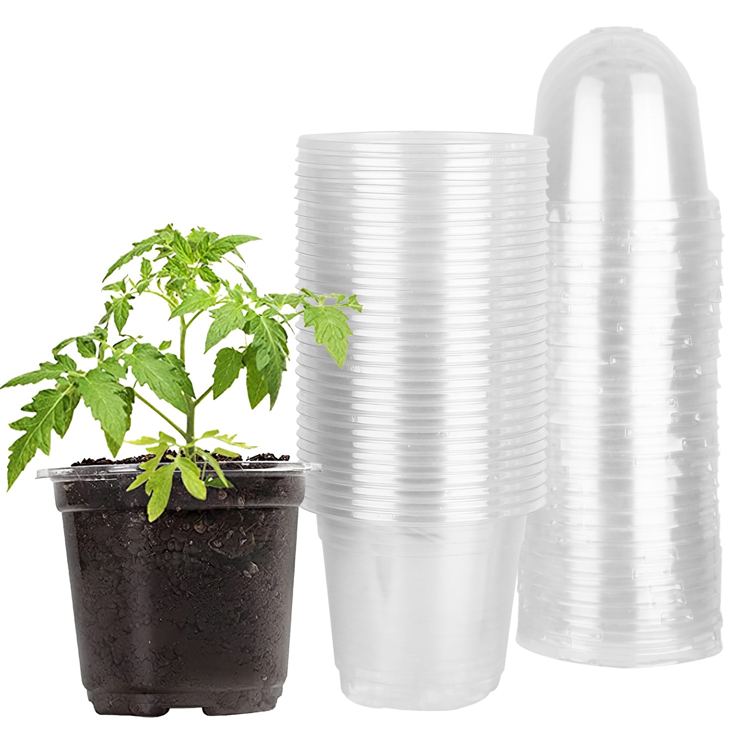 30Pcs Plant Nursery Pots With Dome & Drainage Holes