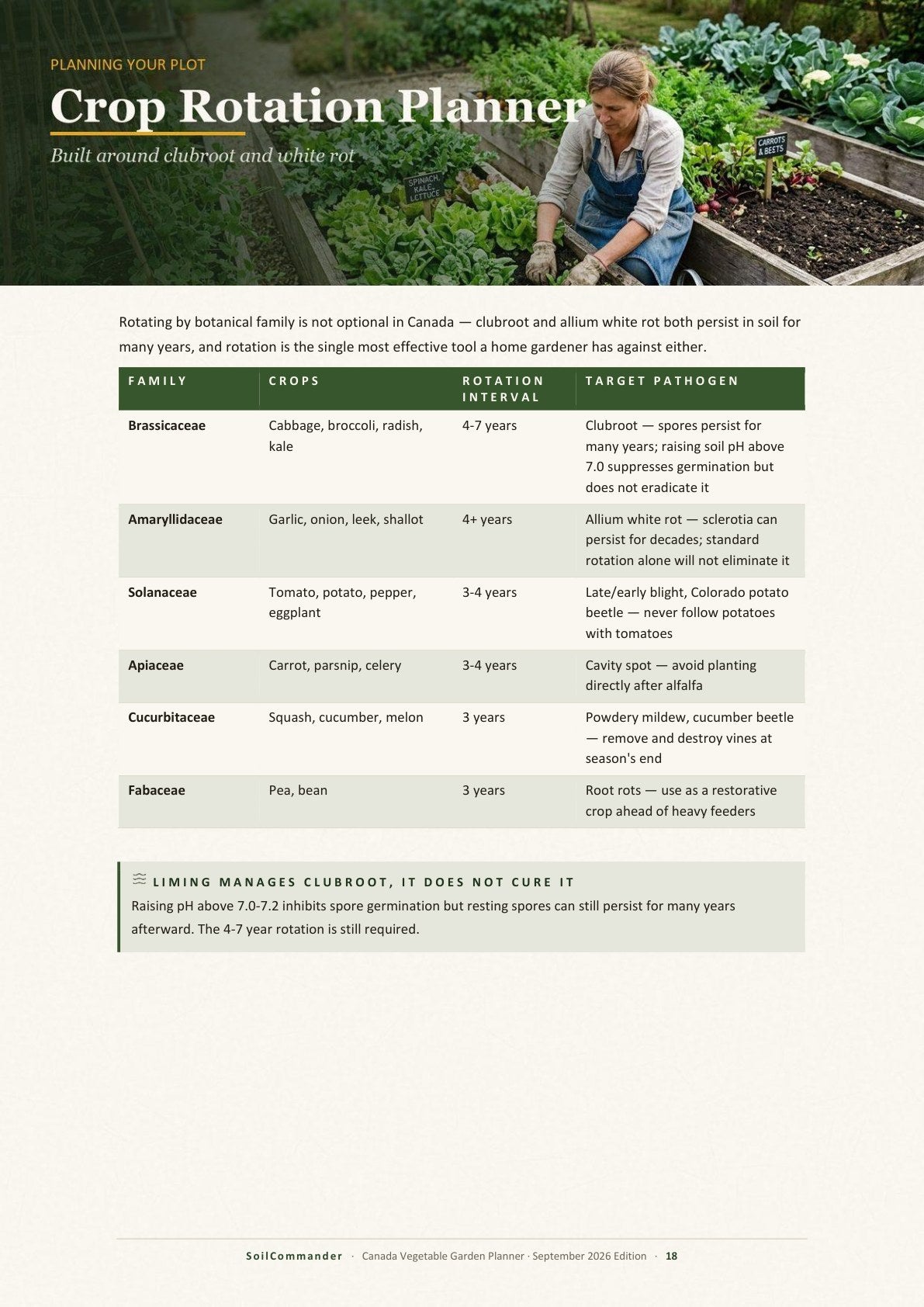 Inside the Canada vegetable garden planner PDF — A planning worksheet you fill in for your own plot (page 18)