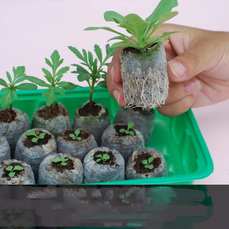 Compact Garden Care Tools Kit – Perfect for Succulents & Pots - soilcommander