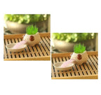 Compact Lightweight Tiny Plant Pot for mini plants, grass, succulents, or herbs - soilcommander
