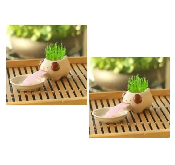 Compact Lightweight Tiny Plant Pot for mini plants, grass, succulents, or herbs - soilcommander