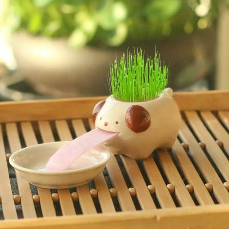 Compact Lightweight Tiny Plant Pot for mini plants, grass, succulents, or herbs - soilcommander
