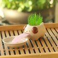 Compact Lightweight Tiny Plant Pot for mini plants, grass, succulents, or herbs - soilcommander