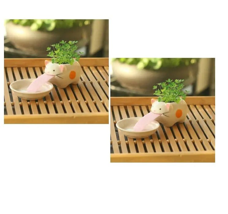 Compact Lightweight Tiny Plant Pot for mini plants, grass, succulents, or herbs - soilcommander