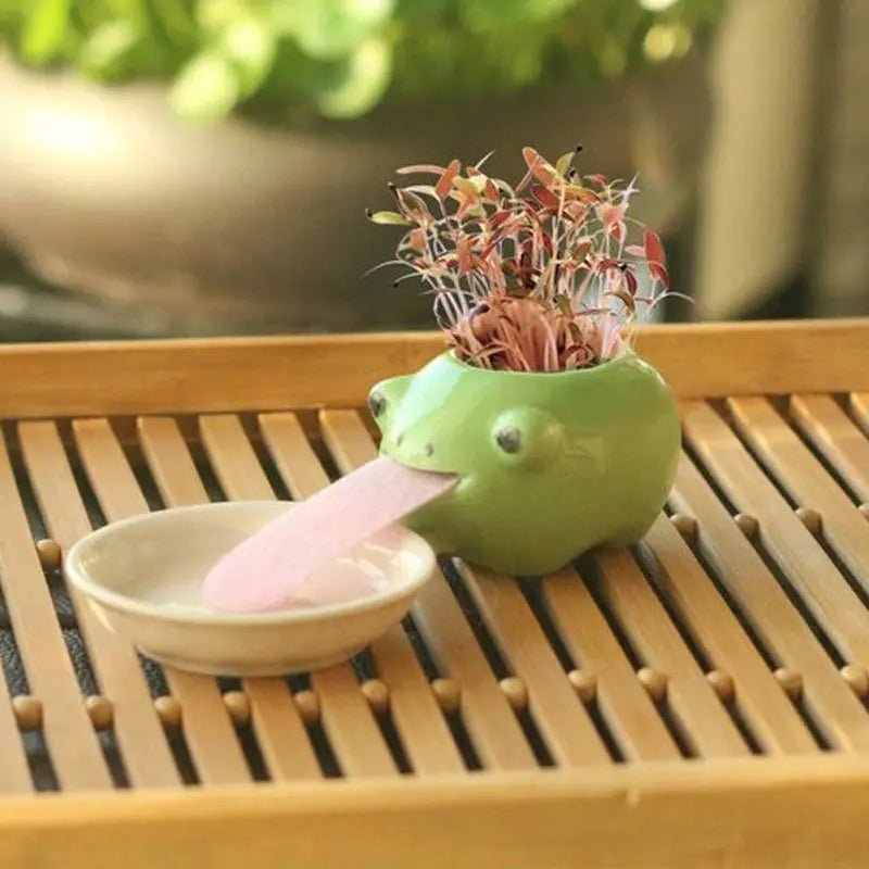 Compact Lightweight Tiny Plant Pot for mini plants, grass, succulents, or herbs - soilcommander