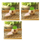 Compact Lightweight Tiny Plant Pot for mini plants, grass, succulents, or herbs - soilcommander