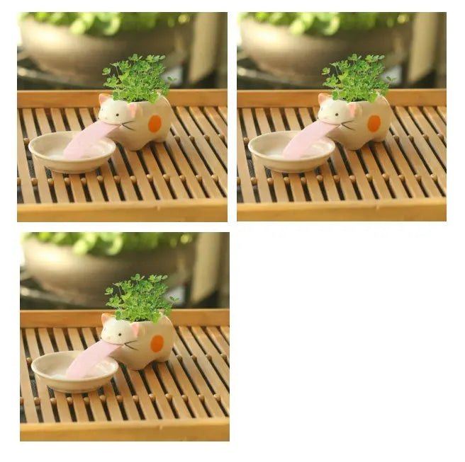Compact Lightweight Tiny Plant Pot for mini plants, grass, succulents, or herbs - soilcommander