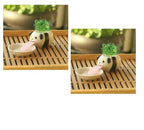 Compact Lightweight Tiny Plant Pot for mini plants, grass, succulents, or herbs - soilcommander