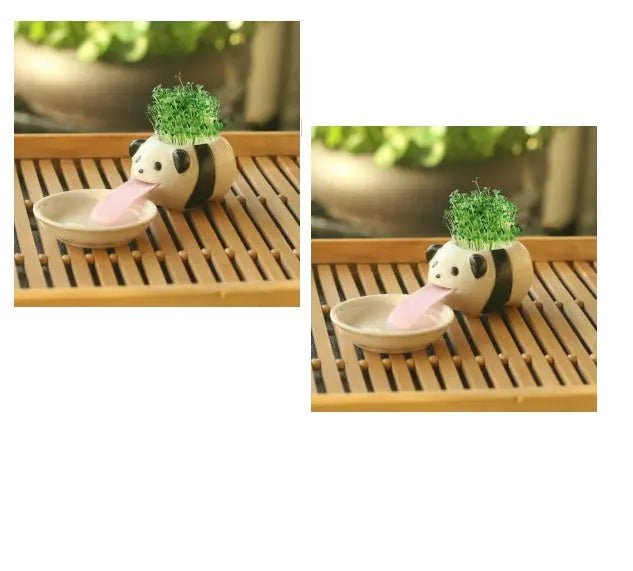 Compact Lightweight Tiny Plant Pot for mini plants, grass, succulents, or herbs - soilcommander