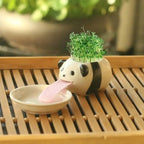 Compact Lightweight Tiny Plant Pot for mini plants, grass, succulents, or herbs - soilcommander