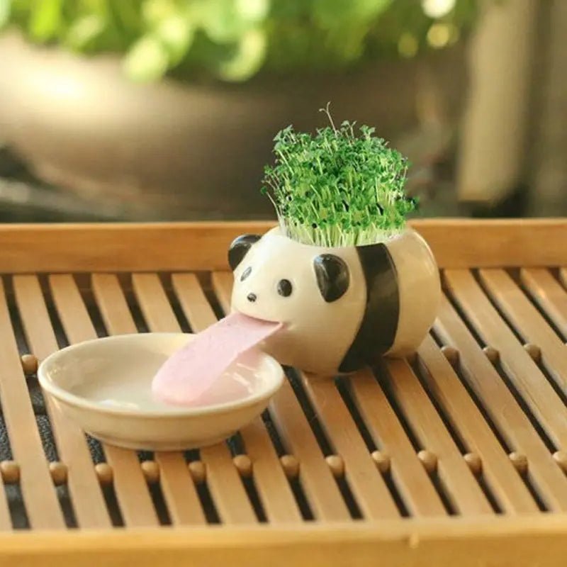 Compact Lightweight Tiny Plant Pot for mini plants, grass, succulents, or herbs - soilcommander