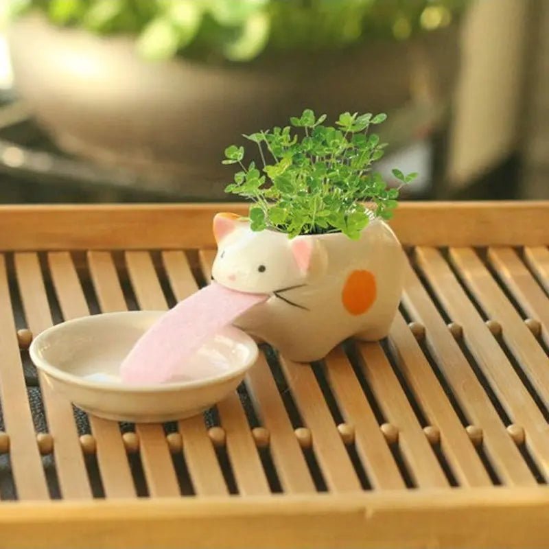 Compact Lightweight Tiny Plant Pot for mini plants, grass, succulents, or herbs - soilcommander