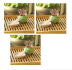 Compact Lightweight Tiny Plant Pot for mini plants, grass, succulents, or herbs - soilcommander