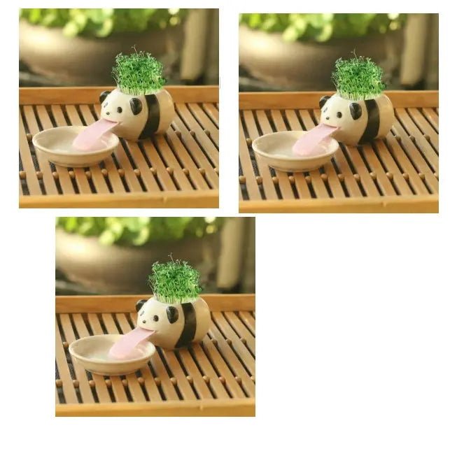 Compact Lightweight Tiny Plant Pot for mini plants, grass, succulents, or herbs - soilcommander