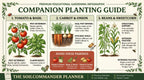 Companion planting guide preview for UK vegetable garden planning