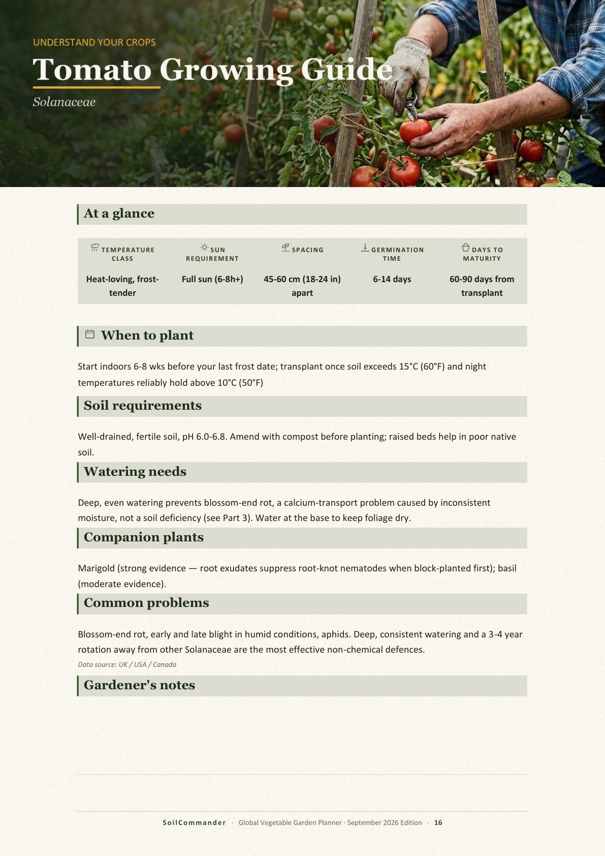 Inside the Global vegetable garden planner PDF — A crop guide — spacing, soil, watering and problems at a glance (page 16)
