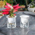 Home Decor Self - Watering Hydroponic Double Tier Visual Water Level Flowerpot - soilcommander