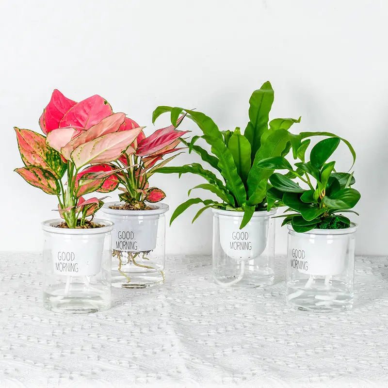 Home Decor Self - Watering Hydroponic Double Tier Visual Water Level Flowerpot - soilcommander