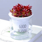 Home Decor Self - Watering Hydroponic Double Tier Visual Water Level Flowerpot - soilcommander